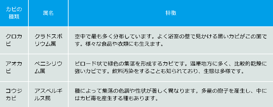 カビの季節です! | コープおきなわ